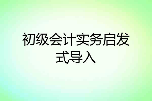 初级会计实务启发式导入