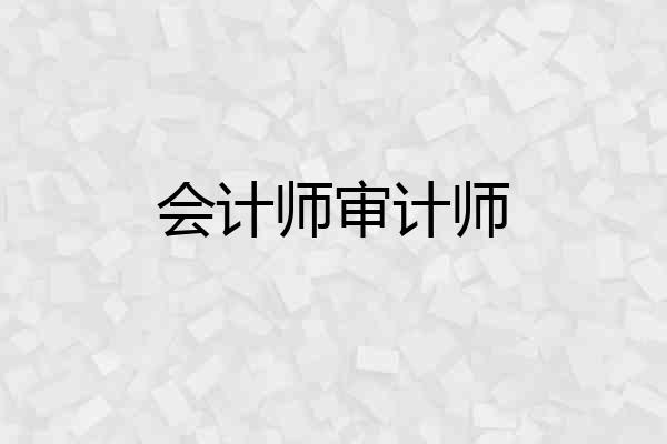 会计师审计师