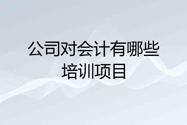 公司对会计有哪些培训项目