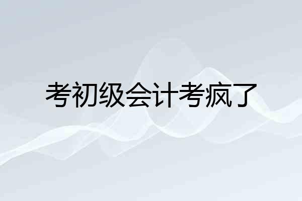 考初级会计考疯了