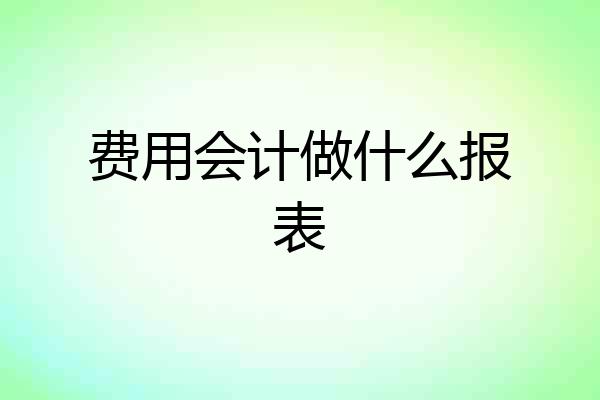 费用会计做什么报表