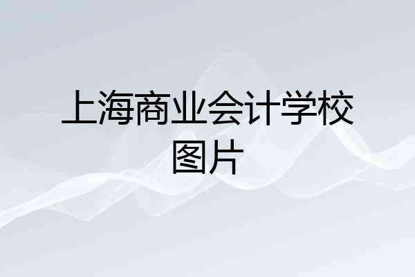 上海商业会计学校图片