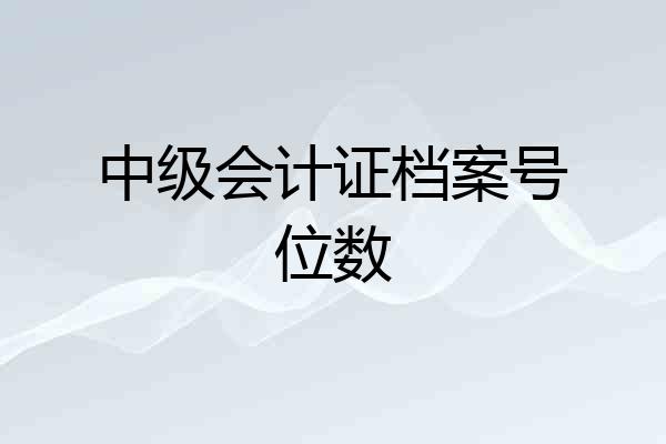 中级会计证档案号位数