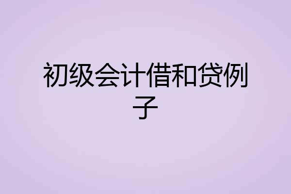 初级会计借和贷例子