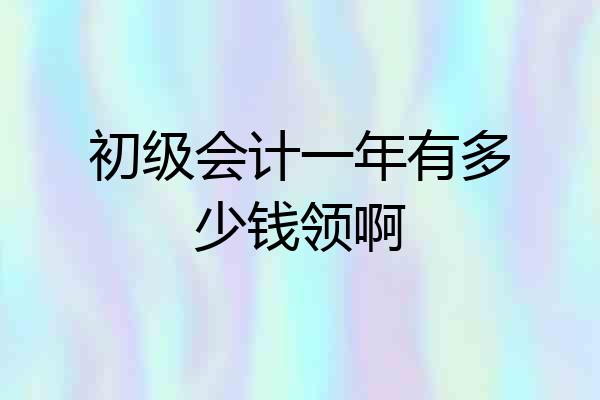 初级会计一年有多少钱领啊