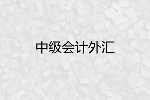 中级会计外汇