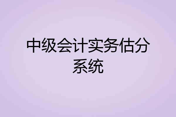 中级会计实务估分系统