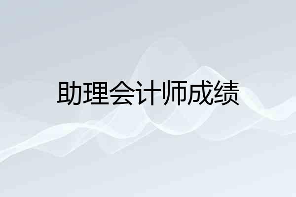 助理会计师成绩