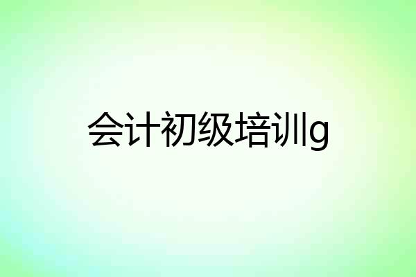 会计初级培训g