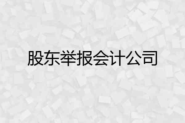 股东举报会计公司