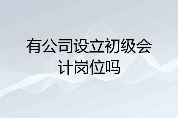 有公司设立初级会计岗位吗