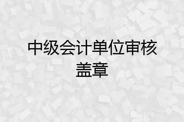 中级会计单位审核盖章