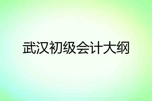 武汉初级会计大纲