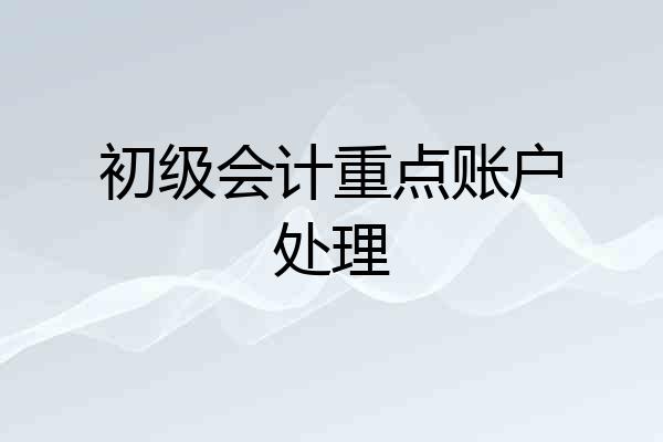 初级会计重点账户处理
