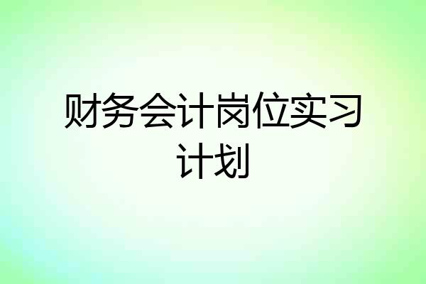 财务会计岗位实习计划