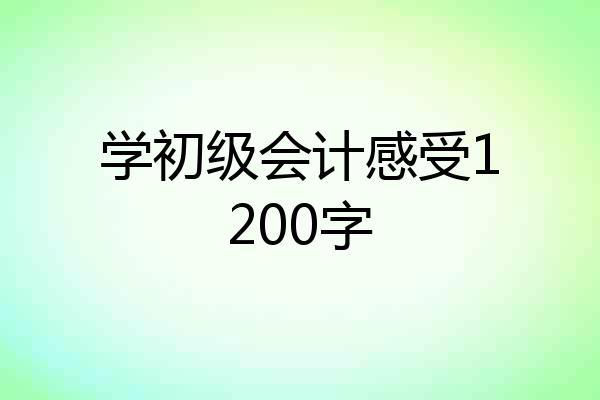学初级会计感受1200字