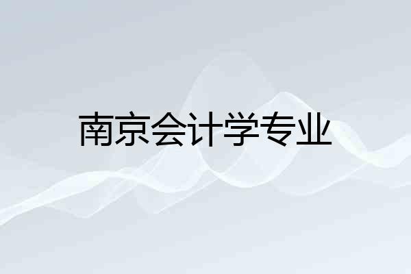 南京会计学专业