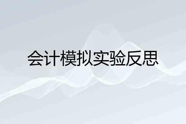 会计模拟实验反思