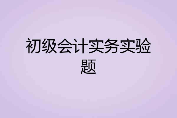 初级会计实务实验题