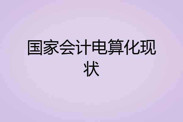 国家会计电算化现状