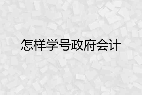 怎样学号政府会计