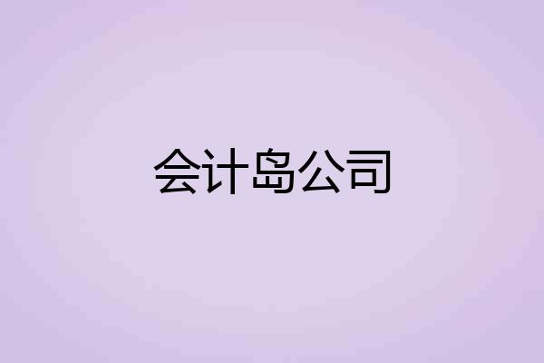会计岛公司