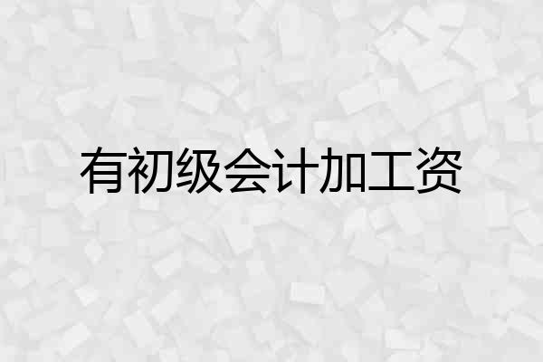 有初级会计加工资
