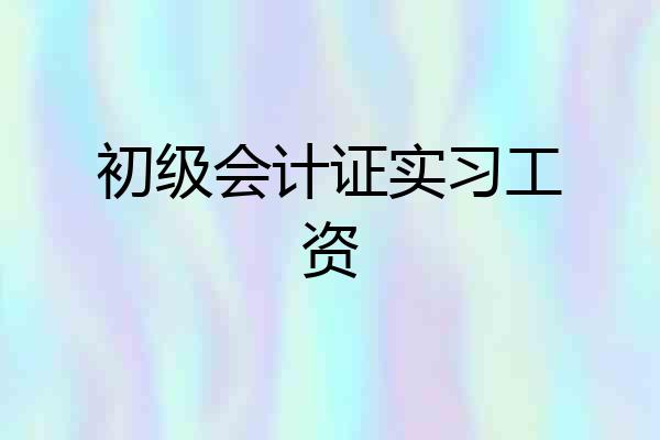 初级会计证实习工资