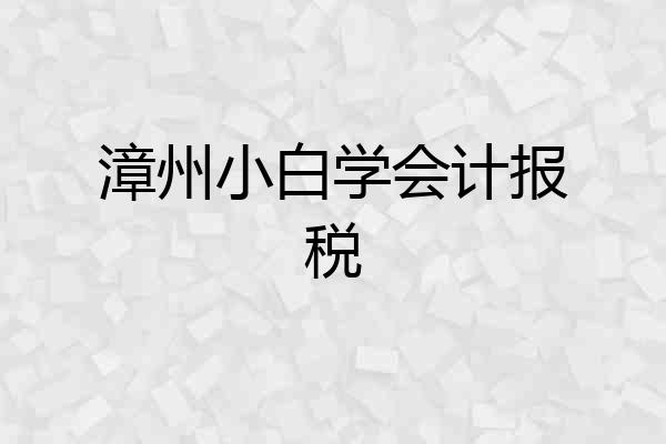 漳州小白学会计报税