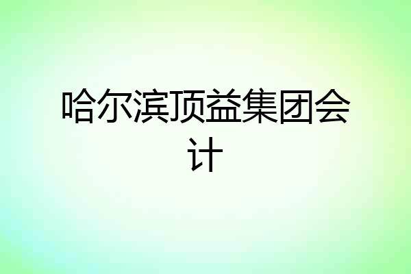 哈尔滨顶益集团会计