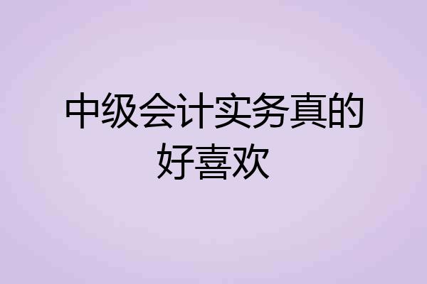 中级会计实务真的好喜欢
