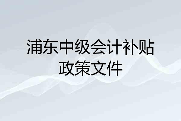 浦东中级会计补贴政策文件