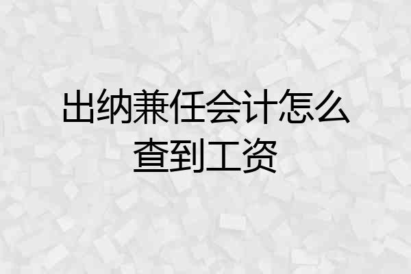 出纳兼任会计怎么查到工资