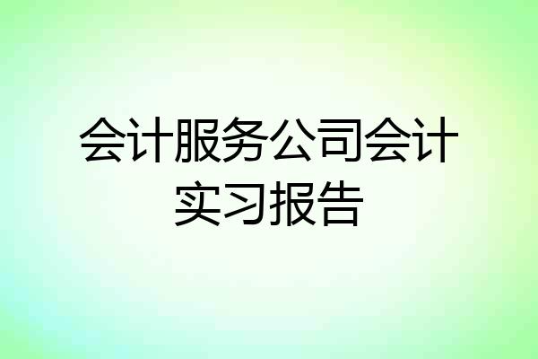 会计服务公司会计实习报告