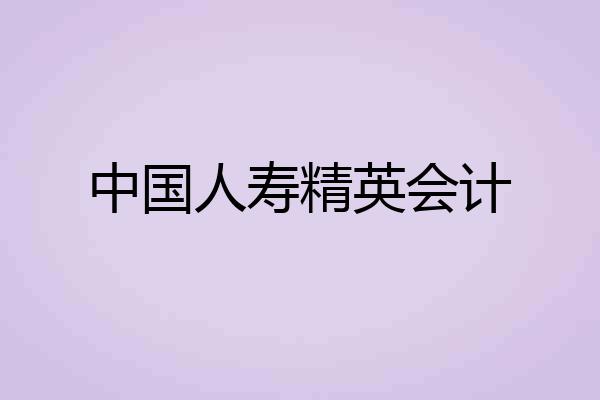 中国人寿精英会计
