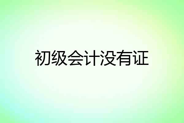 初级会计没有证