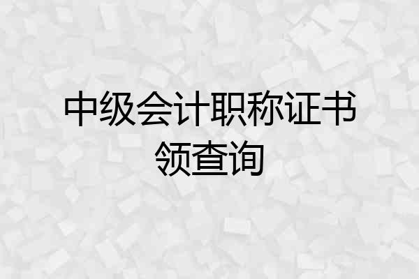 中级会计职称证书领查询