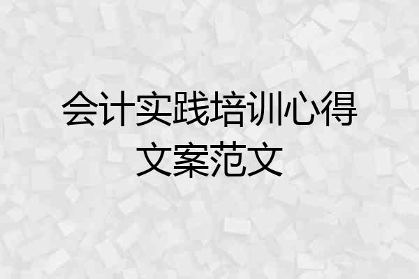 会计实践培训心得文案范文