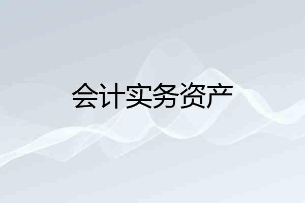 会计实务资产
