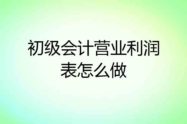 初级会计营业利润表怎么做