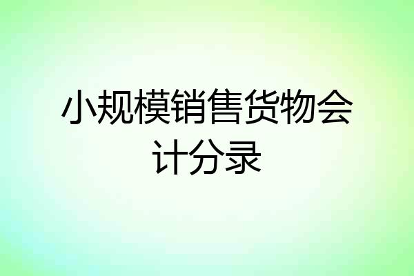 小规模销售货物会计分录
