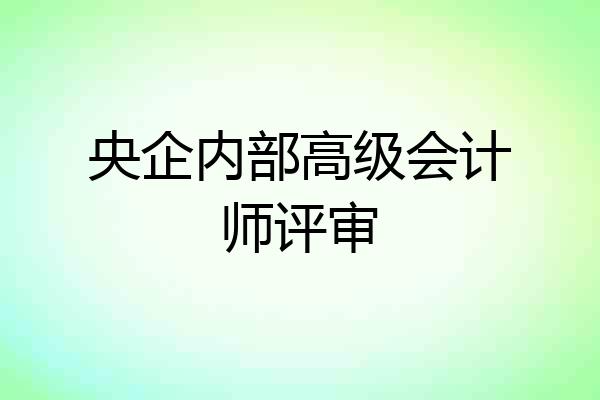 央企内部高级会计师评审