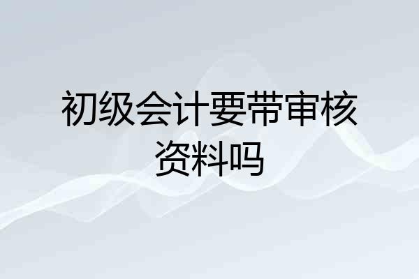 初级会计要带审核资料吗
