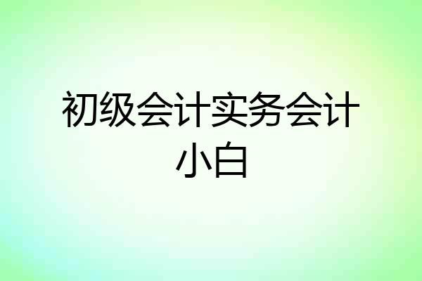 初级会计实务会计小白