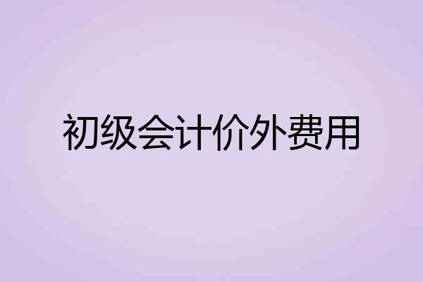 初级会计价外费用