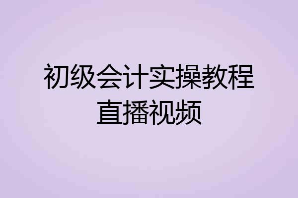 初级会计实操教程直播视频