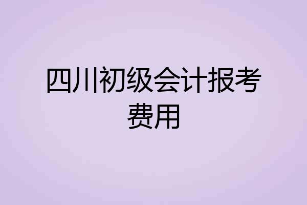 四川初级会计报考费用