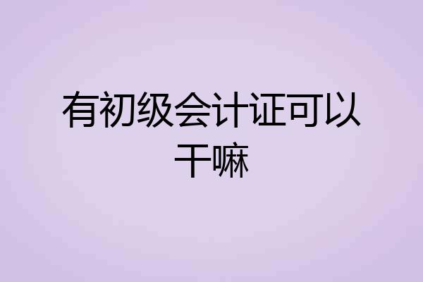 有初级会计证可以干嘛