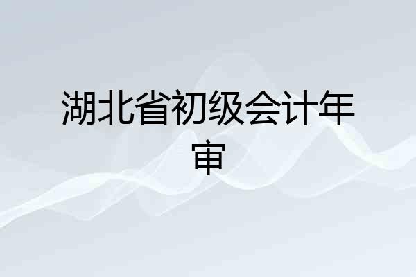 湖北省初级会计年审