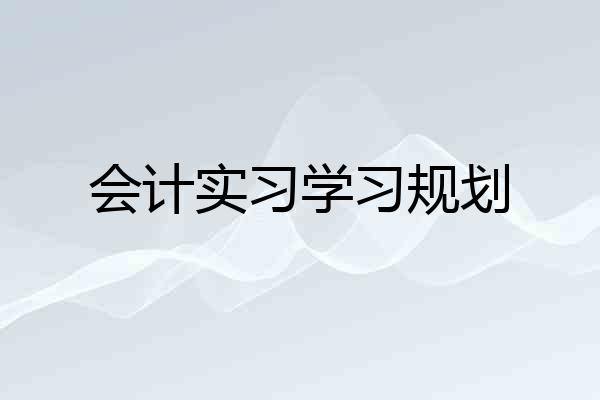 会计实习学习规划